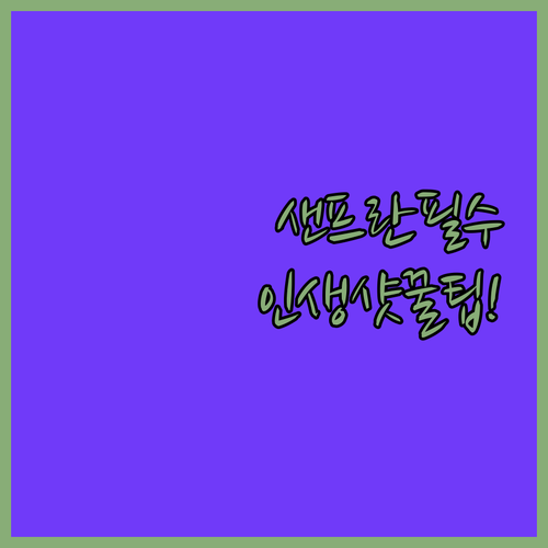 샌프란시스코 시간대별 뷰포인트 12곳..