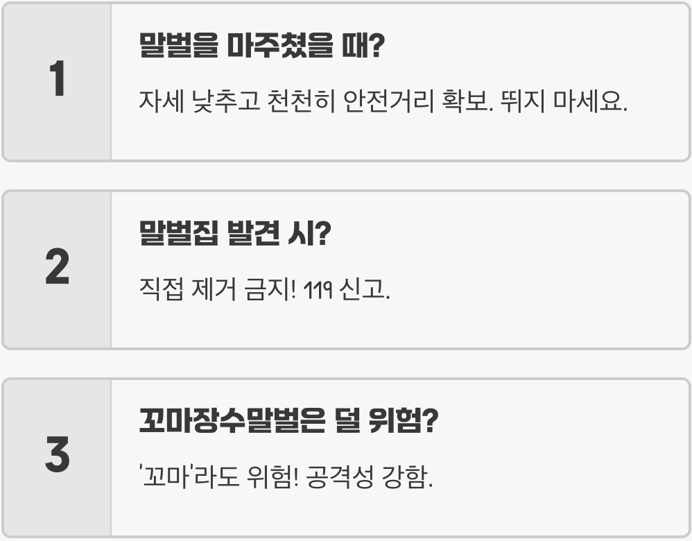 꼬마장수말벌 vs 장수말벌 vs 등검은말벌, 한눈에 구별하는 결정적 차이 3가지