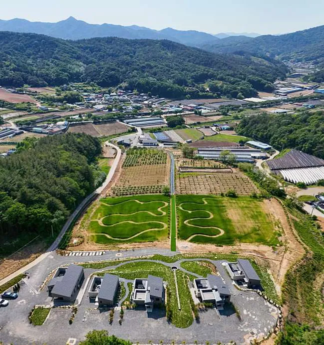 스테이경화