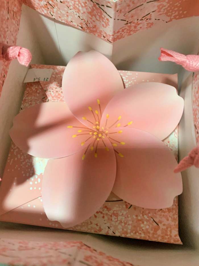 생생정보 창원 진해 벚꽃 구경 나들이 선물 디저트 벚꽃빵 맛집