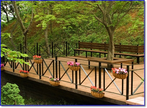 세종시 베어트리파크 입장료 할인 봄꽃 축제 가는길