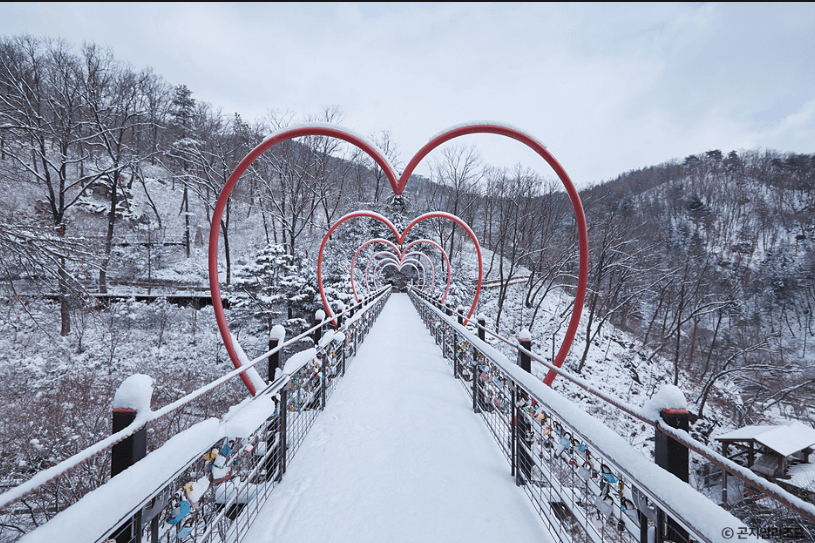 곤지암 스키장 리프트권 예매