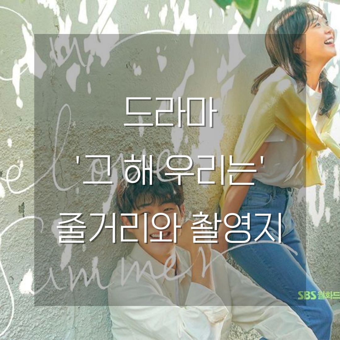 드라마 그 해 우리는