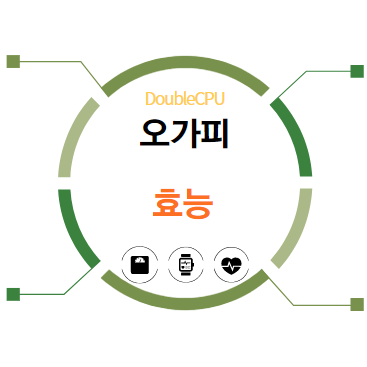 오가피 효능 5가지 탐구
