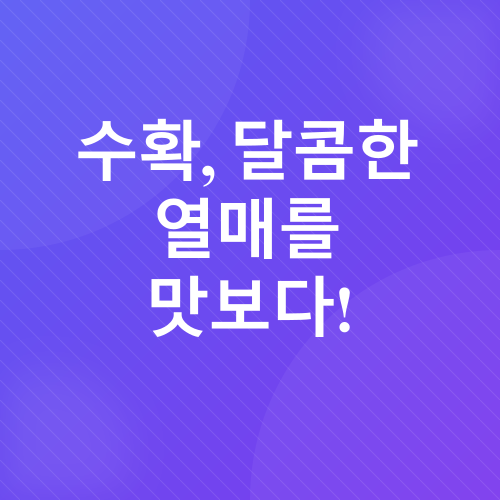 블루베리 화분 재배_7