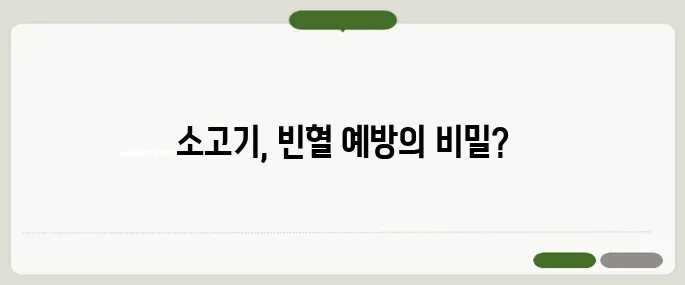 소고기 효능 철분이 많아서 빈혈 예방에 좋을까