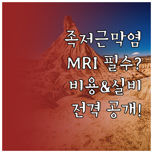 족저근막염 MRI 검사 필요성 비용 ..
