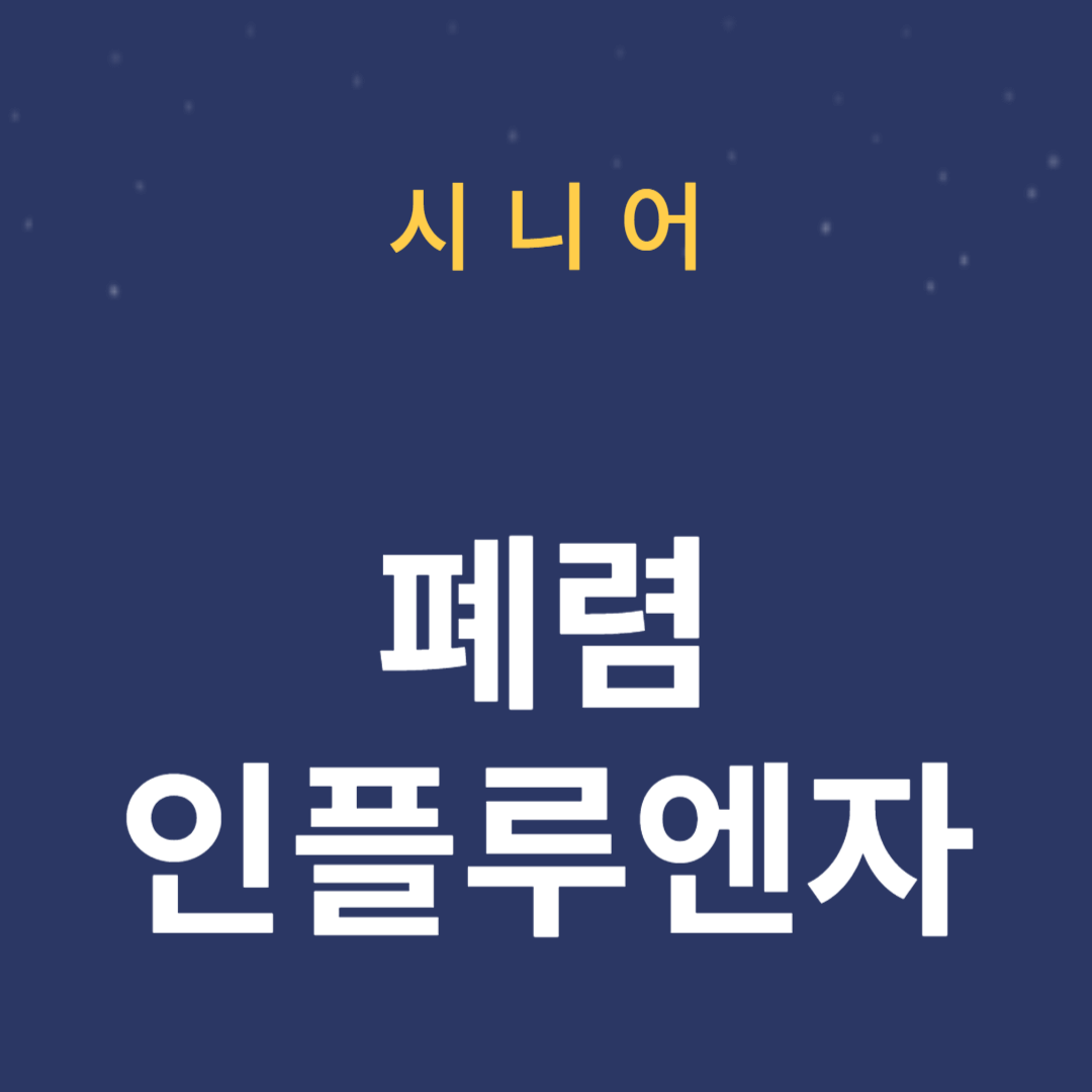인플루엔자 및 폐렴: 노인의 위험이 더 높은 이유