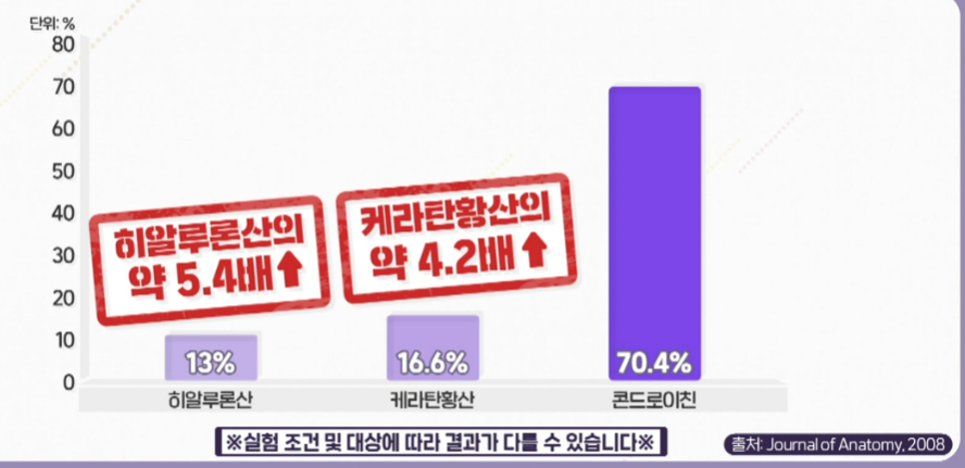콘드로이친