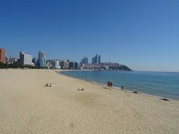 2025 여름 해수욕장 개장 일정 반려견 준비물