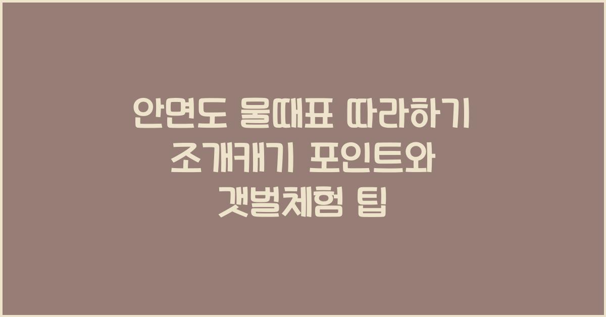 안면도 물때표