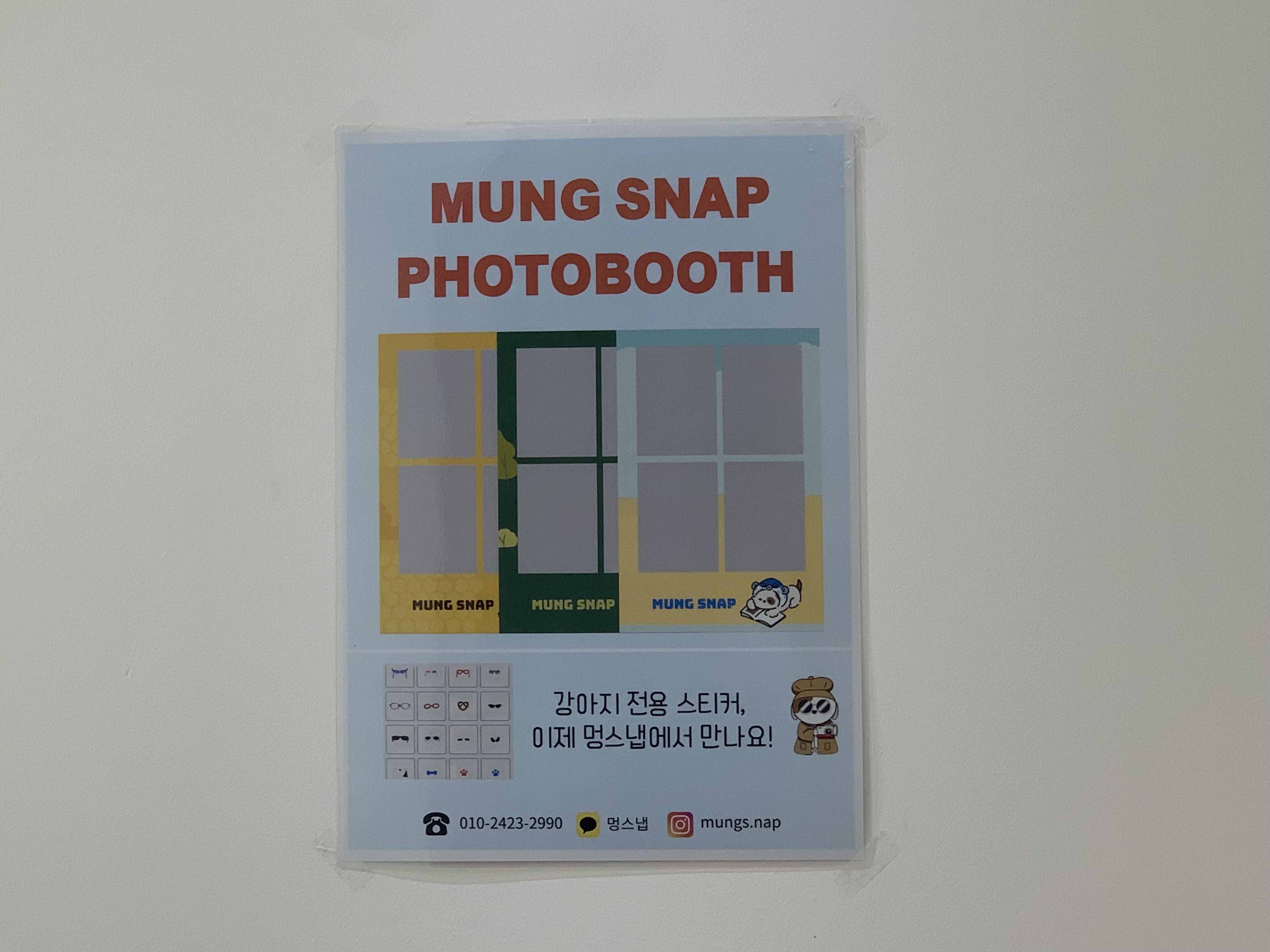 부천 부천시청 애견카페 애견유치원 애견호텔 멍스냅