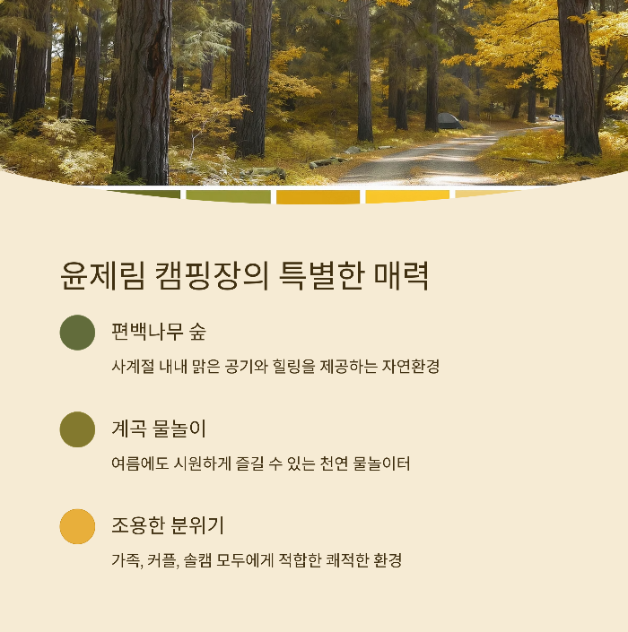 윤제림 캠핑장 위치와 특징
