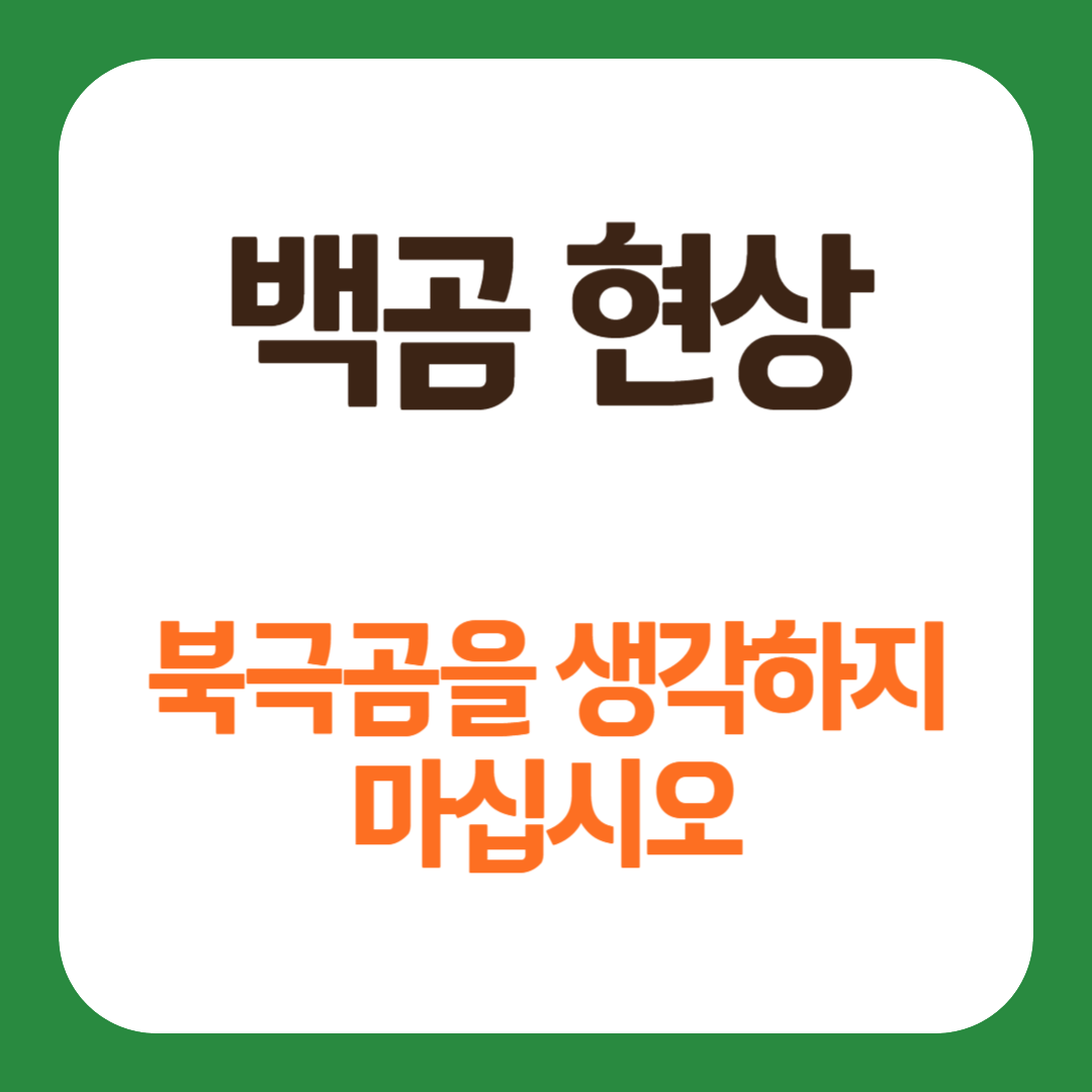 백곰현상 역사 활용 방법 각종 사례