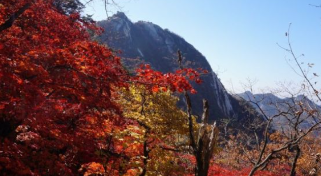 2025 경기도 단풍 명산 BEST ❘ 북한산&middot;남한산성&middot;광교산 등 추천 코스