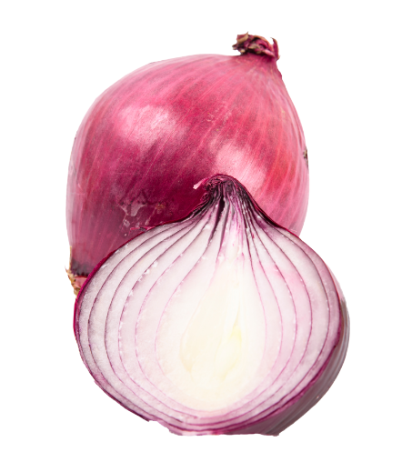 양파