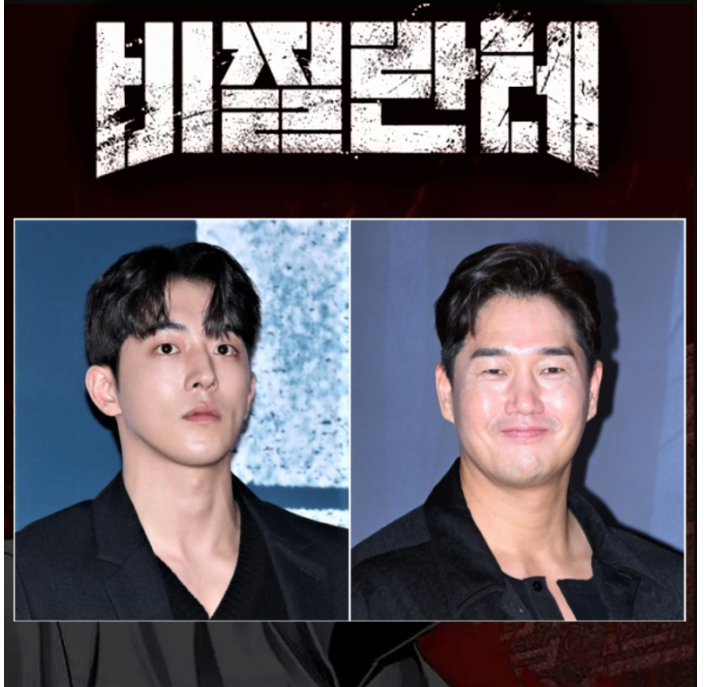 비질란테