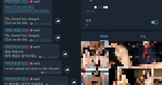 텔레그램 딥페이크 피해