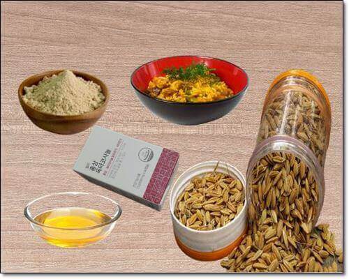 감마오리자놀 음식과 옥타코사놀