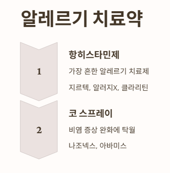 꽃가루 알레르기 약