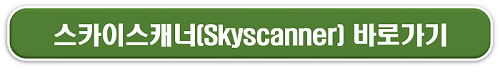스카이스캐너 바로가기 버튼