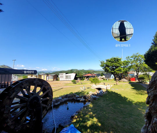 강릉쌍둥이동물농장 아이와 체험 가능한 가족 여행지