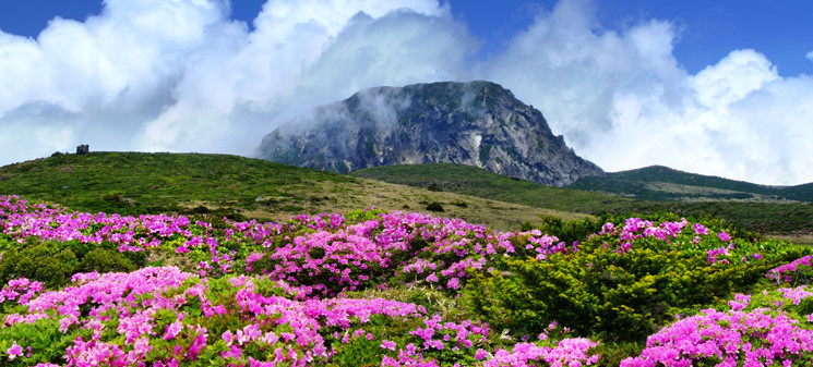 한라산 국립공원 사진