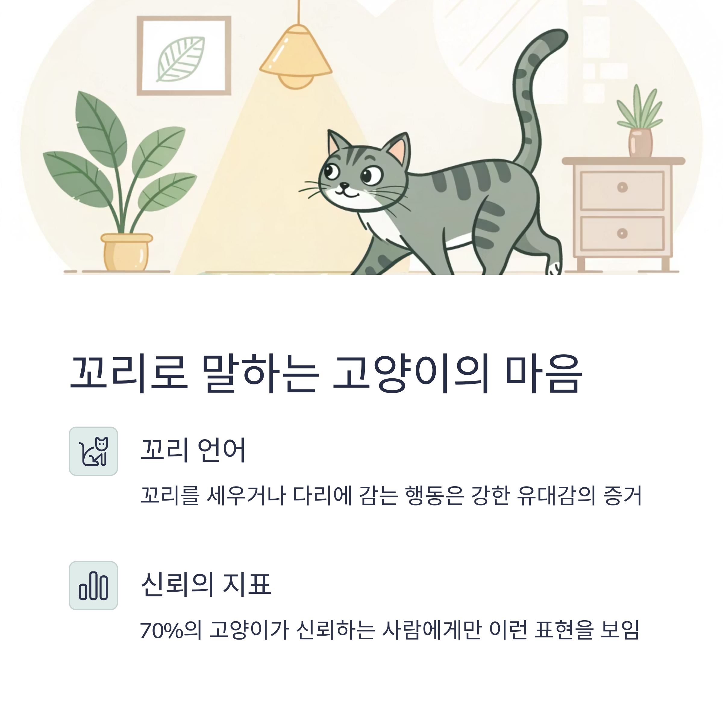 꾀리로 말하는 고양이의 마음