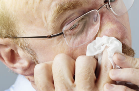 가래에 좋은 음식 BEST6