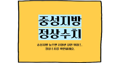 중성지방 정상수치 썸네일 이미지