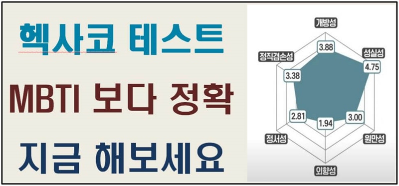 헥사코 테스트