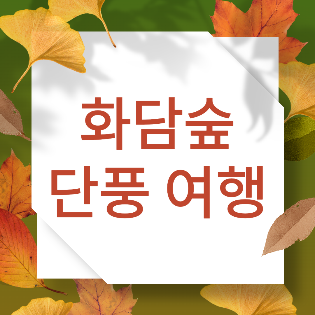 화담숲 단풍여행