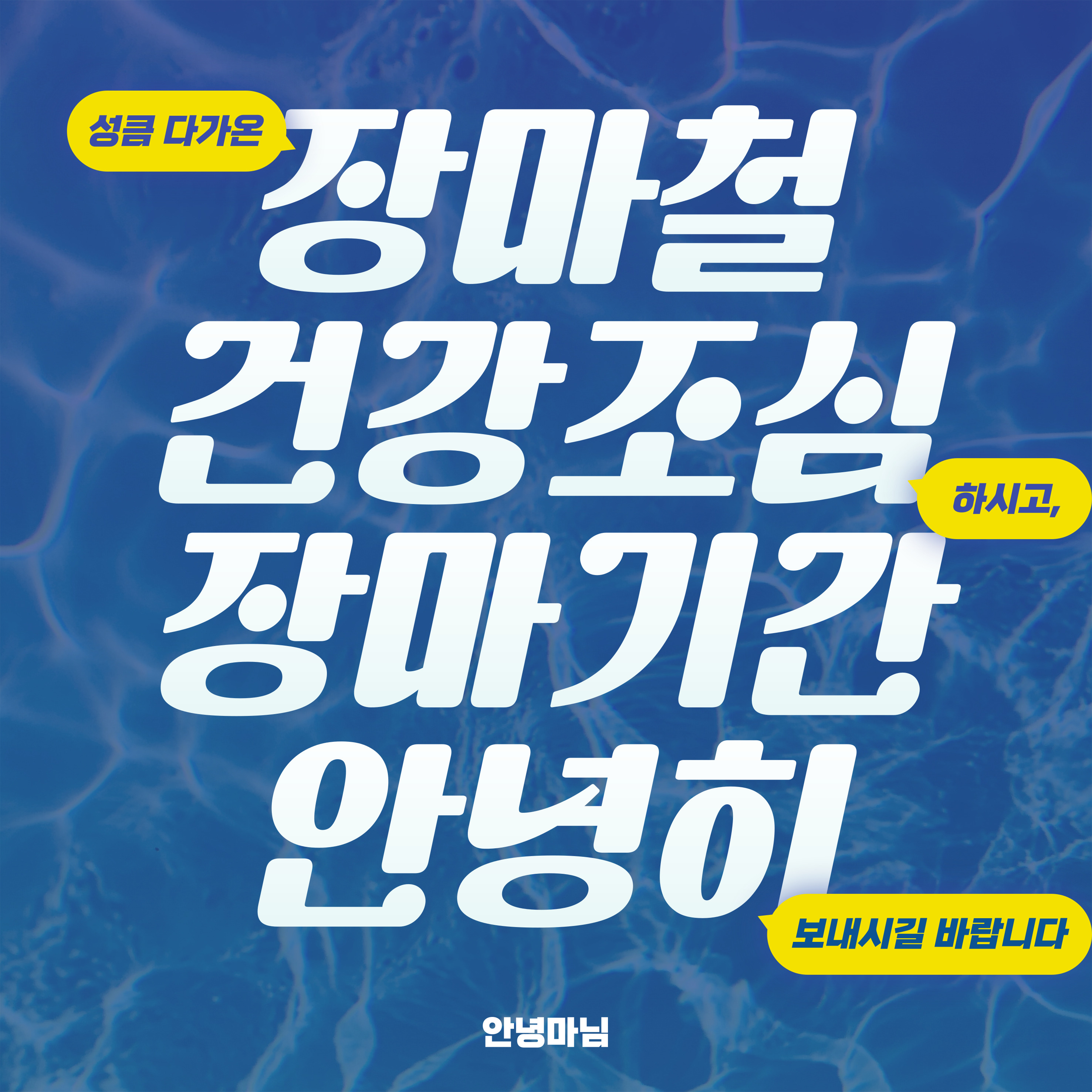 장마철 극한 호우 대비법
