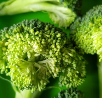 골다공증에 좋은 음식 예방 식단