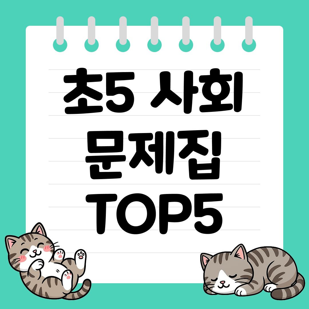 2026년 대비 초5 사회 문제집 추천 순위 TOP5