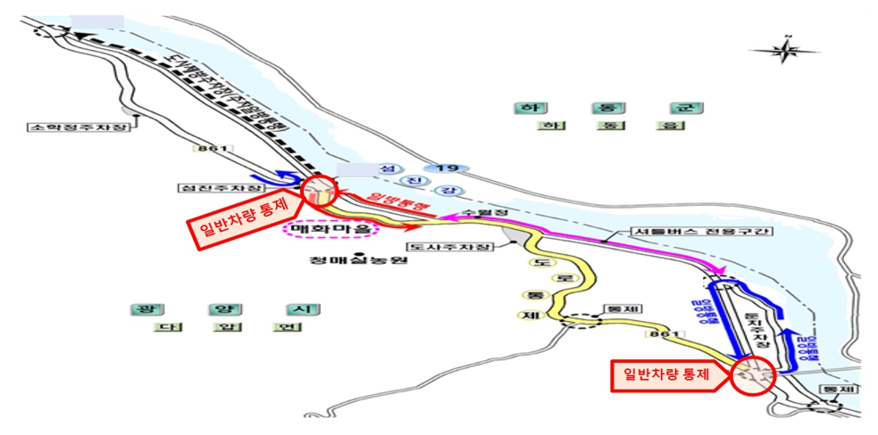 전남 광양 매화꽃축제 주차정보