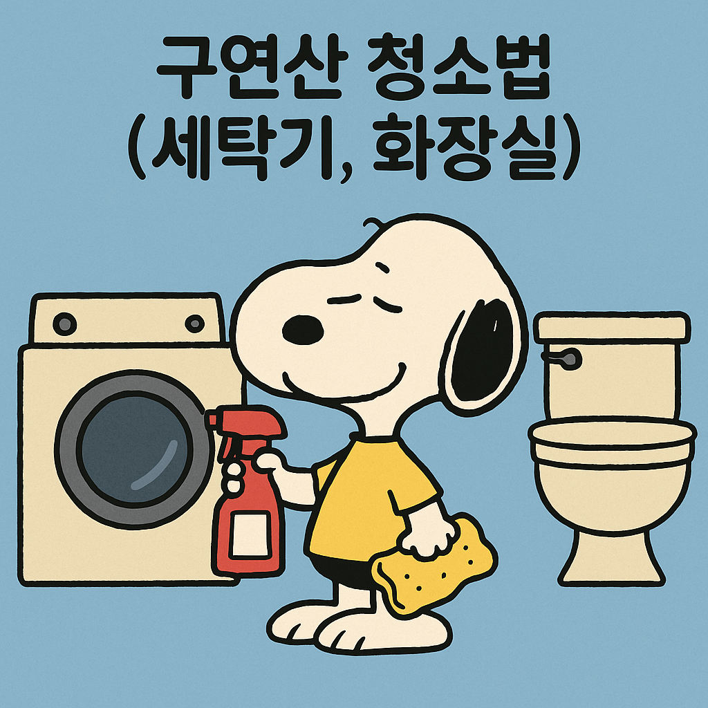 구연산 활용법 청소법