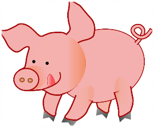 10월 띠별 운세 이달의 운세 월간운세 별자리운세