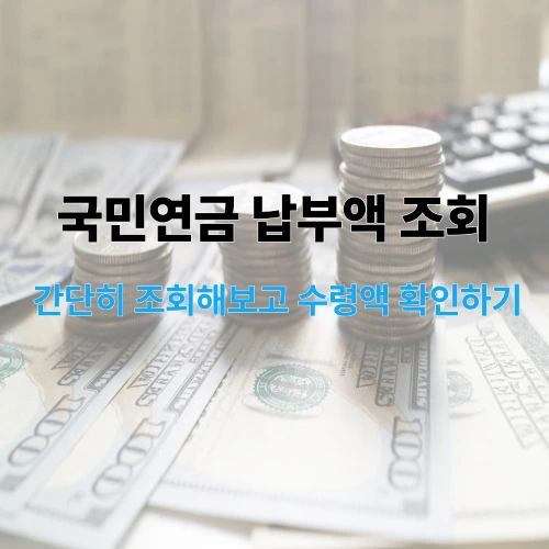 국민연금 납부액 조회