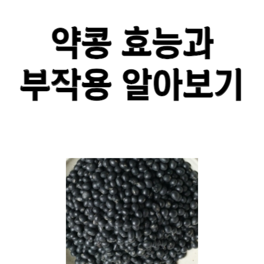 약콩 효능과 부작용