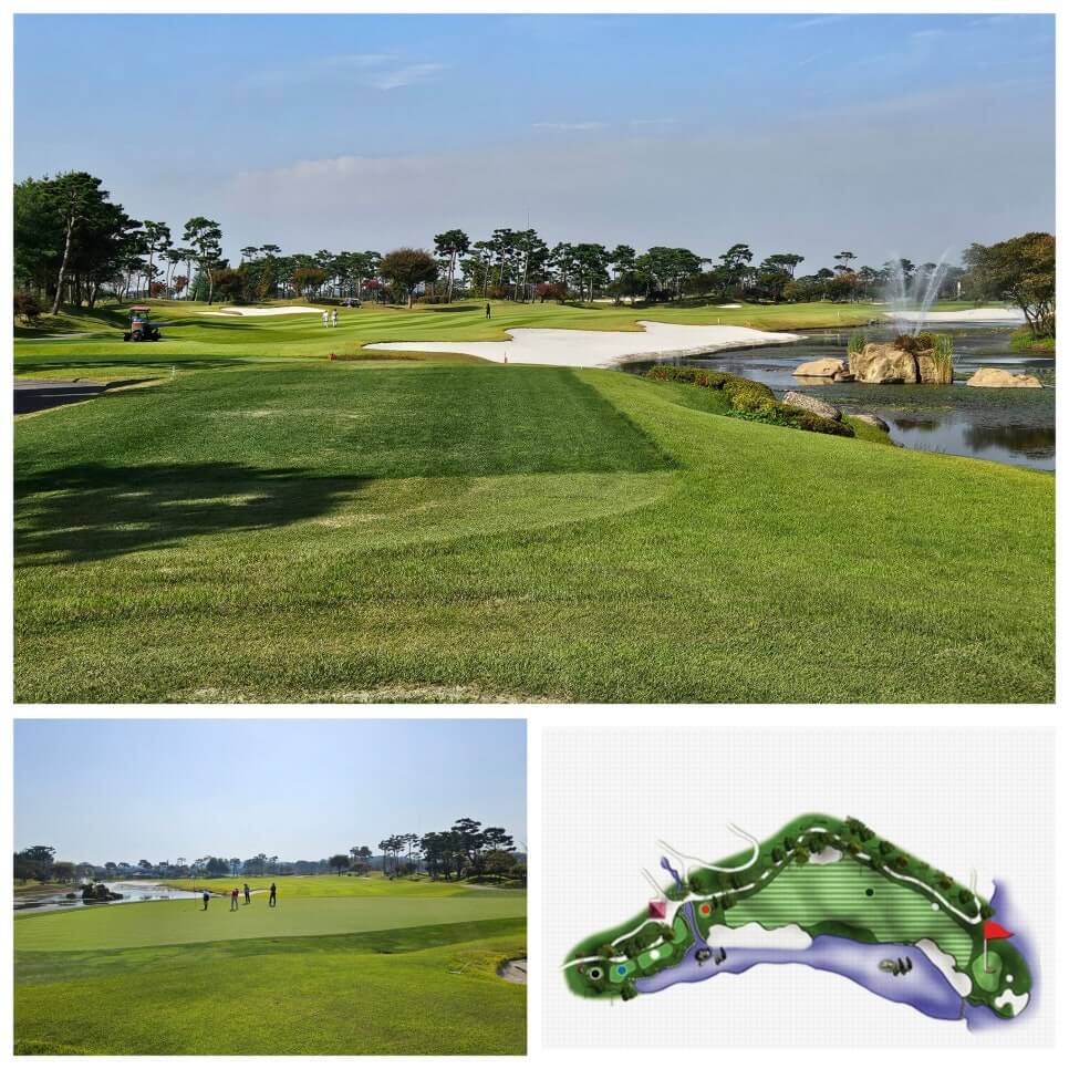 골프장 경험담 당진 파인스톤cc 대형 멋진 정원에서 환상의 골프 운동
