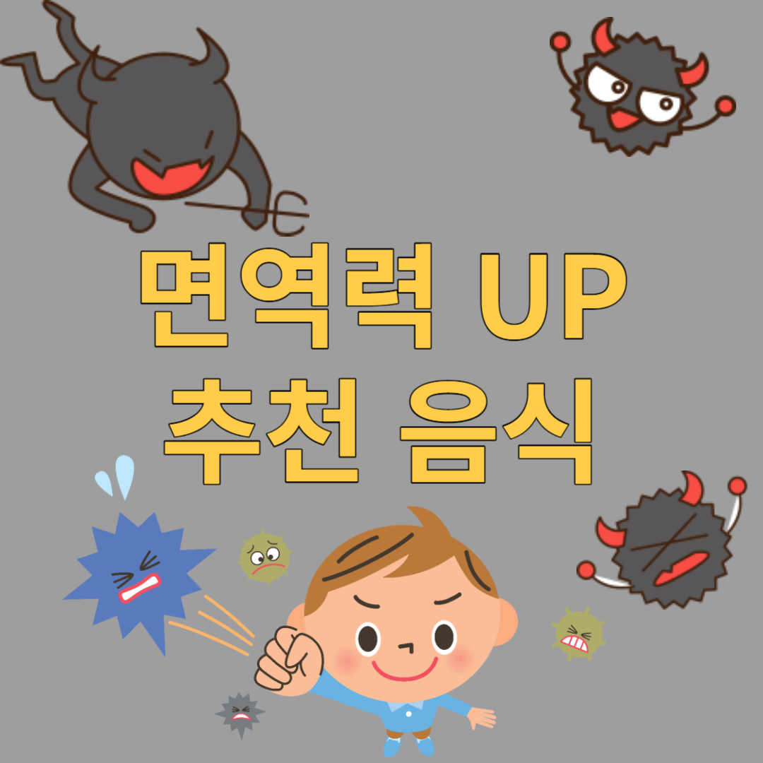 면역력에 좋은 음식 추천