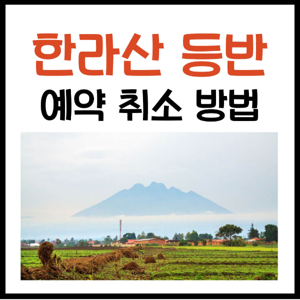 한라산 등반 예약 취소 방법