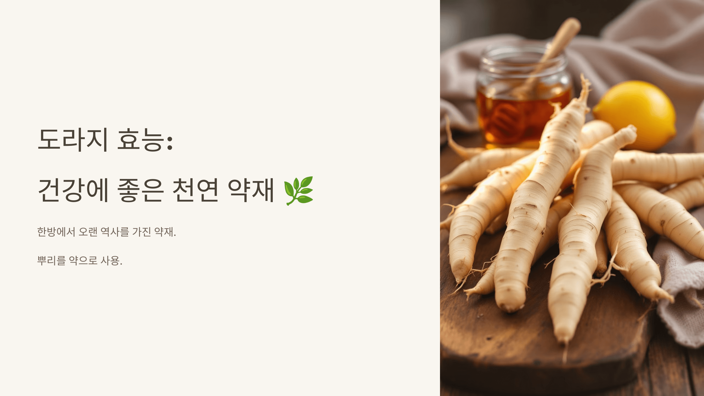 도라지 사진입니다.