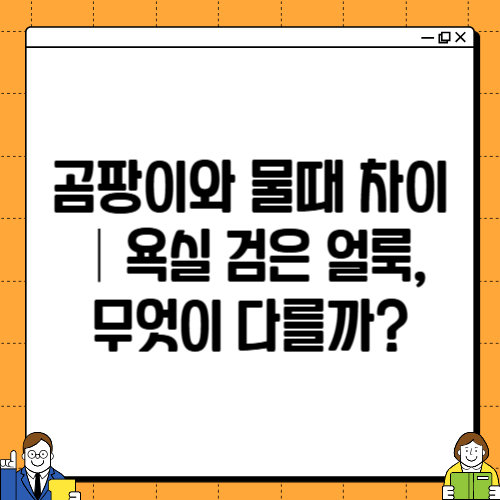 곰팡이와 물때 차이|욕실 검은 얼룩, 무엇이 다를까?