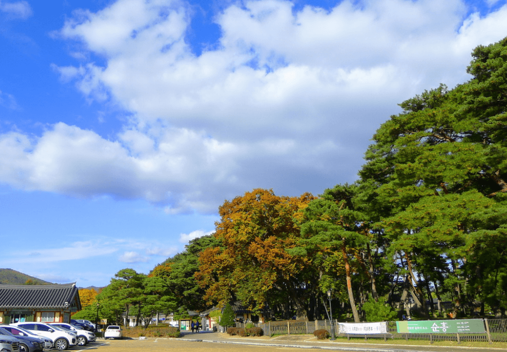 10. 울진 망양정