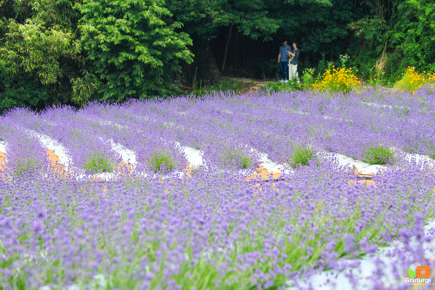 고창 가볼만한곳 베스트10