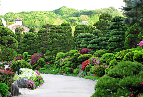 철쭉 명소 세종 가볼만한 곳