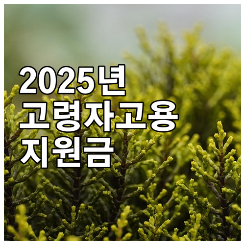 2025년 고령자고용지원금 파헤치기 ..