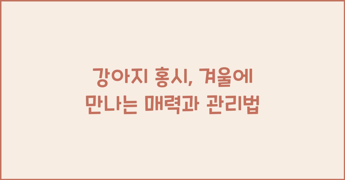 강아지 홍시